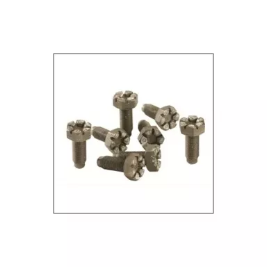 Flywheel bolt kit, Ford 4.6/5.4L, 10mm x 1mm x 25mm (Set of 8)