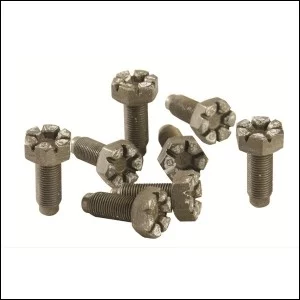 Flywheel Bolt Kit, Ford 4.6/5.4L, 10mm X 1mm X 25mm (Set of 8)