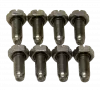 Flywheel Bolt Kit | Ford 4.6L/5.4L Modular | M10 x 1.0 x 25mm (Set of 8)